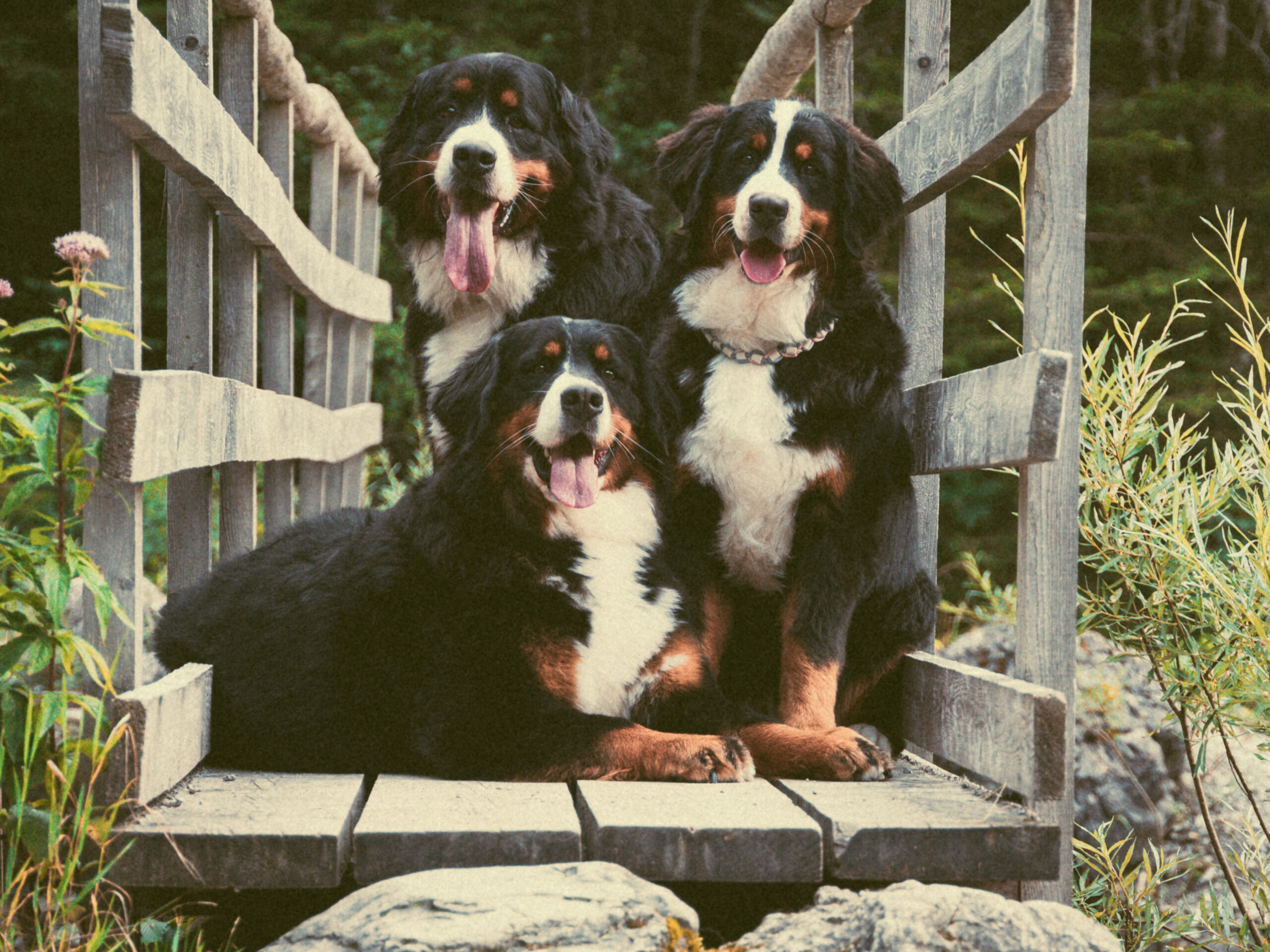 Hof Sandbühel Family
